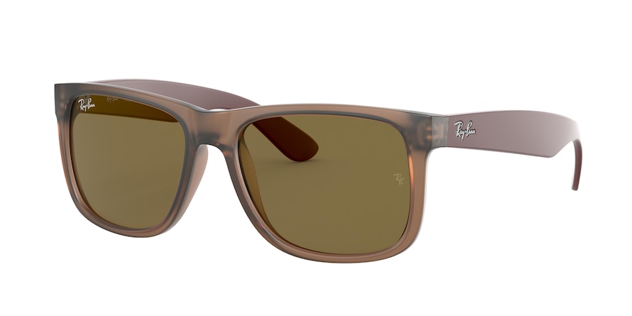 Ray-Ban RB4165 JUSTIN 651073