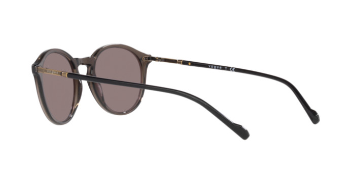 Gafas de sol VOGUE VO5432S 29237N – Gafas de Optica