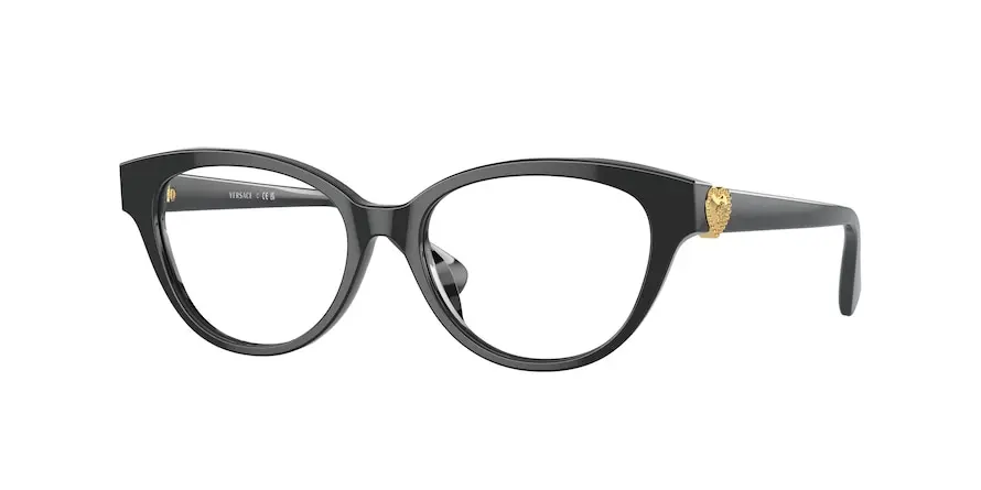 Versace VK3004  GB1