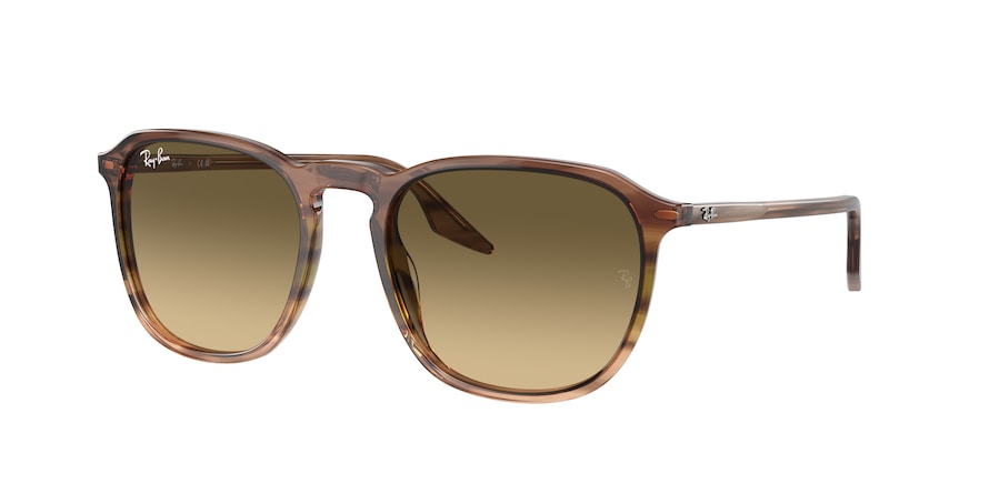 Ray-Ban RB2203  13920A