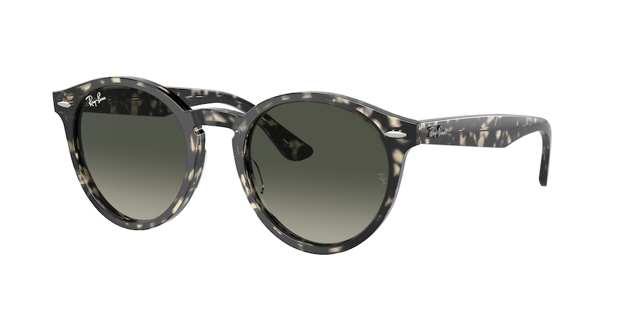 Ray-Ban RB7680S LARRY 133371
