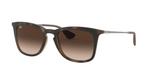 Ray-Ban RB4221 865/13