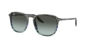 Ray-Ban RB2203 1391GK