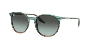 Ray-Ban RB2204 1394GK