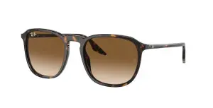 Ray-Ban RB2203 902/51