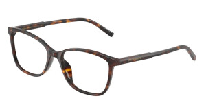 Dolce & Gabbana DG3424 502