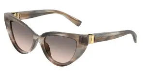 Dolce & Gabbana DG4497 34493B