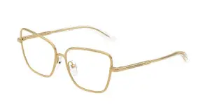 Dolce & Gabbana DX1102 02