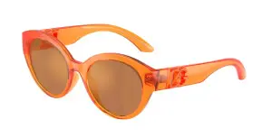 Dolce & Gabbana DX6010 33887J