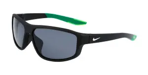 Nike NIKE BRAZEN FUEL DJ0 10