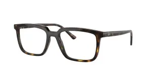 Ray-Ban RX7239 2012