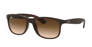 Ray-Ban RB4202 607313