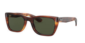 Ray-Ban RB2248 954/31