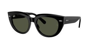 Ray-Ban RB2286 901/31