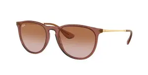 Ray-Ban RB4171 659013