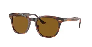 Ray-Ban RB2298 954/33