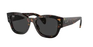 Ray-Ban RB7681S 902/48