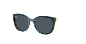 Ray-Ban Junior RY1631C 393787