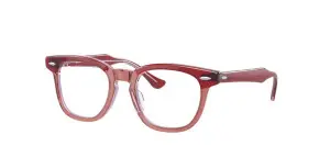 Ray-Ban Junior RY9098V 3960