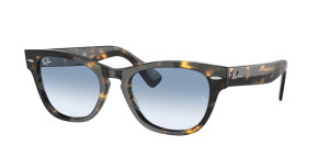 Ray-Ban RB2201 13323F