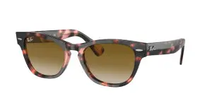 Ray-Ban RB2201 133451