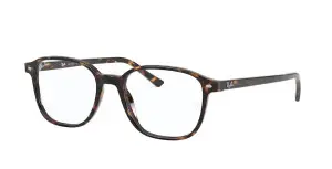 Ray-Ban RX5393 2012