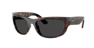 Ray-Ban RB2289 902/48