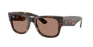 Ray-Ban RB0840S 902/1A