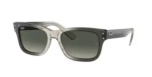 Ray-Ban RB2283 134071