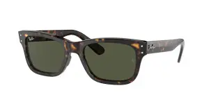 Ray-Ban RB2283 902/31