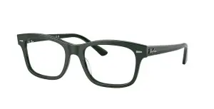 Ray-Ban RX5383 8226