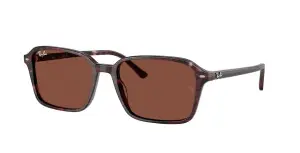 Ray-Ban RB2231 1416C5