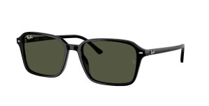 Ray-Ban RB2231 901/31