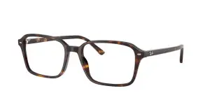 Ray-Ban RX5431 2012