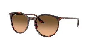 Ray-Ban RB2204 14293B