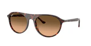 Ray-Ban RB2215 14293B