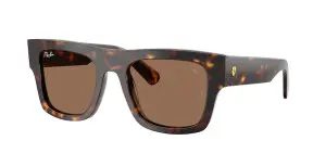 Ray-Ban RB2217M F61373