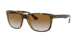 Ray-Ban RB4181 710/51