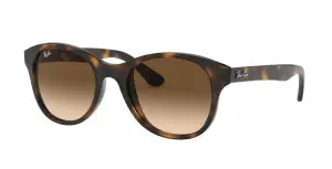 Ray-Ban RB4203 710/13