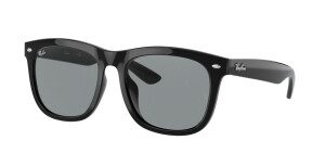 Ray-Ban RB4260D 601/1