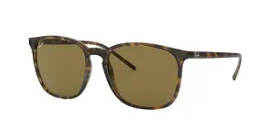 Ray-Ban RB4387 710/73