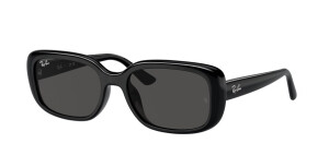 Ray-Ban RB4421D 667787