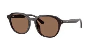 Ray-Ban RB4459D 623173