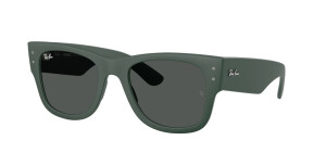 Ray-Ban RB4840S 665787