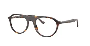 Ray-Ban RX5441 2012