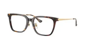 Ray-Ban RX5442D 2012