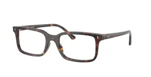 Ray-Ban RX5445 2012