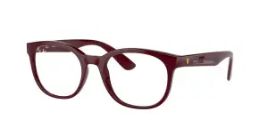 Ray-Ban RX7231M F685