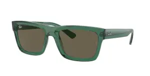 Ray-Ban RB4396 6681/3