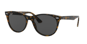 RB2185 WAYFARER II